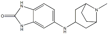 5-({8-methyl-8-azabicyclo[3.2.1]octan-3-yl}amino)-2,3-dihydro-1H-1,3-benzodiazol-2-one Struktur