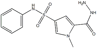 5-(hydrazinocarbonyl)-1-methyl-N-phenyl-1H-pyrrole-3-sulfonamide Struktur