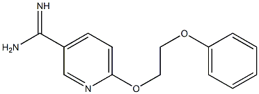 6-(2-phenoxyethoxy)pyridine-3-carboximidamide Struktur