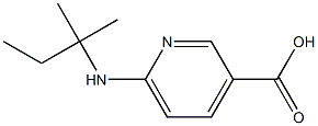 6-[(2-methylbutan-2-yl)amino]pyridine-3-carboxylic acid Struktur