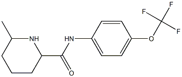 6-methyl-N-[4-(trifluoromethoxy)phenyl]piperidine-2-carboxamide Struktur