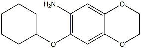 7-(cyclohexyloxy)-2,3-dihydro-1,4-benzodioxin-6-amine Struktur