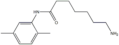 7-amino-N-(2,5-dimethylphenyl)heptanamide Struktur