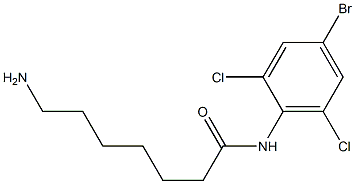 7-amino-N-(4-bromo-2,6-dichlorophenyl)heptanamide Struktur