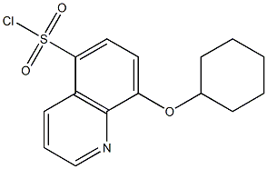 8-(cyclohexyloxy)quinoline-5-sulfonyl chloride Struktur