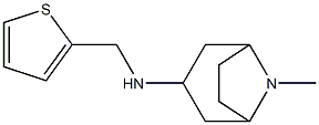 8-methyl-N-(thiophen-2-ylmethyl)-8-azabicyclo[3.2.1]octan-3-amine Struktur