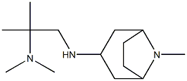 dimethyl[2-methyl-1-({8-methyl-8-azabicyclo[3.2.1]octan-3-yl}amino)propan-2-yl]amine Struktur