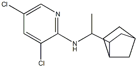 N-(1-{bicyclo[2.2.1]heptan-2-yl}ethyl)-3,5-dichloropyridin-2-amine Struktur