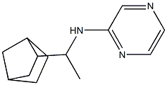 N-(1-{bicyclo[2.2.1]heptan-2-yl}ethyl)pyrazin-2-amine Struktur