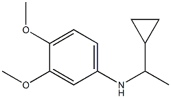 N-(1-cyclopropylethyl)-3,4-dimethoxyaniline Struktur