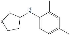 N-(2,4-dimethylphenyl)thiolan-3-amine Struktur