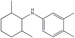 N-(2,6-dimethylcyclohexyl)-3,4-dimethylaniline Struktur