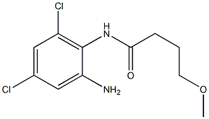 N-(2-amino-4,6-dichlorophenyl)-4-methoxybutanamide Struktur