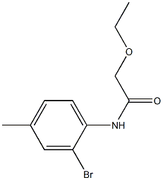 N-(2-bromo-4-methylphenyl)-2-ethoxyacetamide Struktur