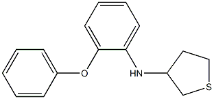 N-(2-phenoxyphenyl)thiolan-3-amine Struktur