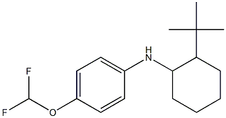 N-(2-tert-butylcyclohexyl)-4-(difluoromethoxy)aniline Struktur