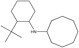 N-(2-tert-butylcyclohexyl)cyclooctanamine Struktur