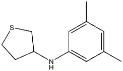 N-(3,5-dimethylphenyl)thiolan-3-amine Struktur