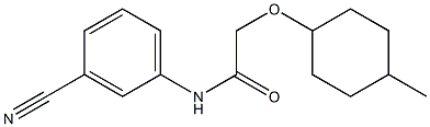 N-(3-cyanophenyl)-2-[(4-methylcyclohexyl)oxy]acetamide Struktur