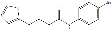 N-(4-bromophenyl)-4-thien-2-ylbutanamide Struktur