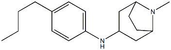 N-(4-butylphenyl)-8-methyl-8-azabicyclo[3.2.1]octan-3-amine Struktur