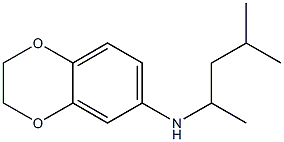 N-(4-methylpentan-2-yl)-2,3-dihydro-1,4-benzodioxin-6-amine Struktur