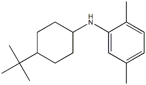 N-(4-tert-butylcyclohexyl)-2,5-dimethylaniline Struktur