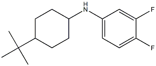 N-(4-tert-butylcyclohexyl)-3,4-difluoroaniline Struktur