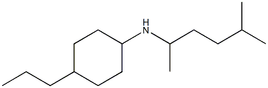 N-(5-methylhexan-2-yl)-4-propylcyclohexan-1-amine Struktur