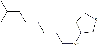 N-(7-methyloctyl)thiolan-3-amine Struktur