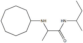 N-(butan-2-yl)-2-(cyclooctylamino)propanamide Struktur