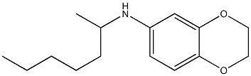 N-(heptan-2-yl)-2,3-dihydro-1,4-benzodioxin-6-amine Struktur