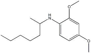 N-(heptan-2-yl)-2,4-dimethoxyaniline Struktur