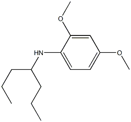 N-(heptan-4-yl)-2,4-dimethoxyaniline Struktur