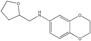 N-(oxolan-2-ylmethyl)-2,3-dihydro-1,4-benzodioxin-6-amine Struktur