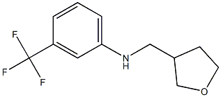 N-(oxolan-3-ylmethyl)-3-(trifluoromethyl)aniline Struktur