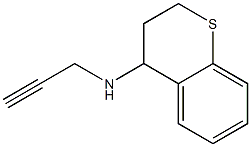 N-(prop-2-yn-1-yl)-3,4-dihydro-2H-1-benzothiopyran-4-amine Struktur