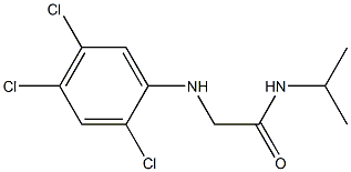 N-(propan-2-yl)-2-[(2,4,5-trichlorophenyl)amino]acetamide Struktur