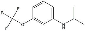 N-(propan-2-yl)-3-(trifluoromethoxy)aniline Struktur