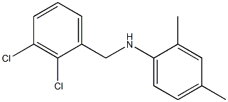 N-[(2,3-dichlorophenyl)methyl]-2,4-dimethylaniline Struktur