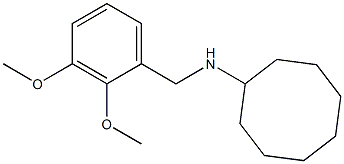 N-[(2,3-dimethoxyphenyl)methyl]cyclooctanamine Struktur