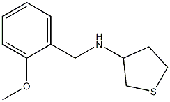 N-[(2-methoxyphenyl)methyl]thiolan-3-amine Struktur