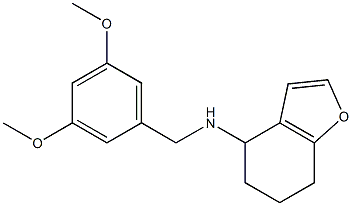 N-[(3,5-dimethoxyphenyl)methyl]-4,5,6,7-tetrahydro-1-benzofuran-4-amine Struktur