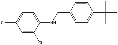 N-[(4-tert-butylphenyl)methyl]-2,4-dichloroaniline Struktur