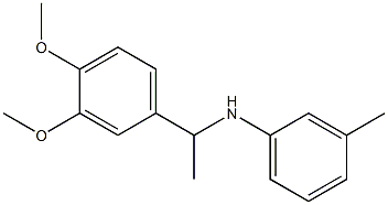 N-[1-(3,4-dimethoxyphenyl)ethyl]-3-methylaniline Struktur