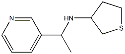 N-[1-(pyridin-3-yl)ethyl]thiolan-3-amine Struktur