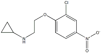 N-[2-(2-chloro-4-nitrophenoxy)ethyl]cyclopropanamine Struktur