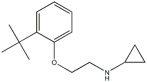 N-[2-(2-tert-butylphenoxy)ethyl]cyclopropanamine Struktur