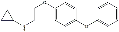 N-[2-(4-phenoxyphenoxy)ethyl]cyclopropanamine Struktur