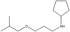 N-[3-(2-methylpropoxy)propyl]cyclopentanamine Struktur